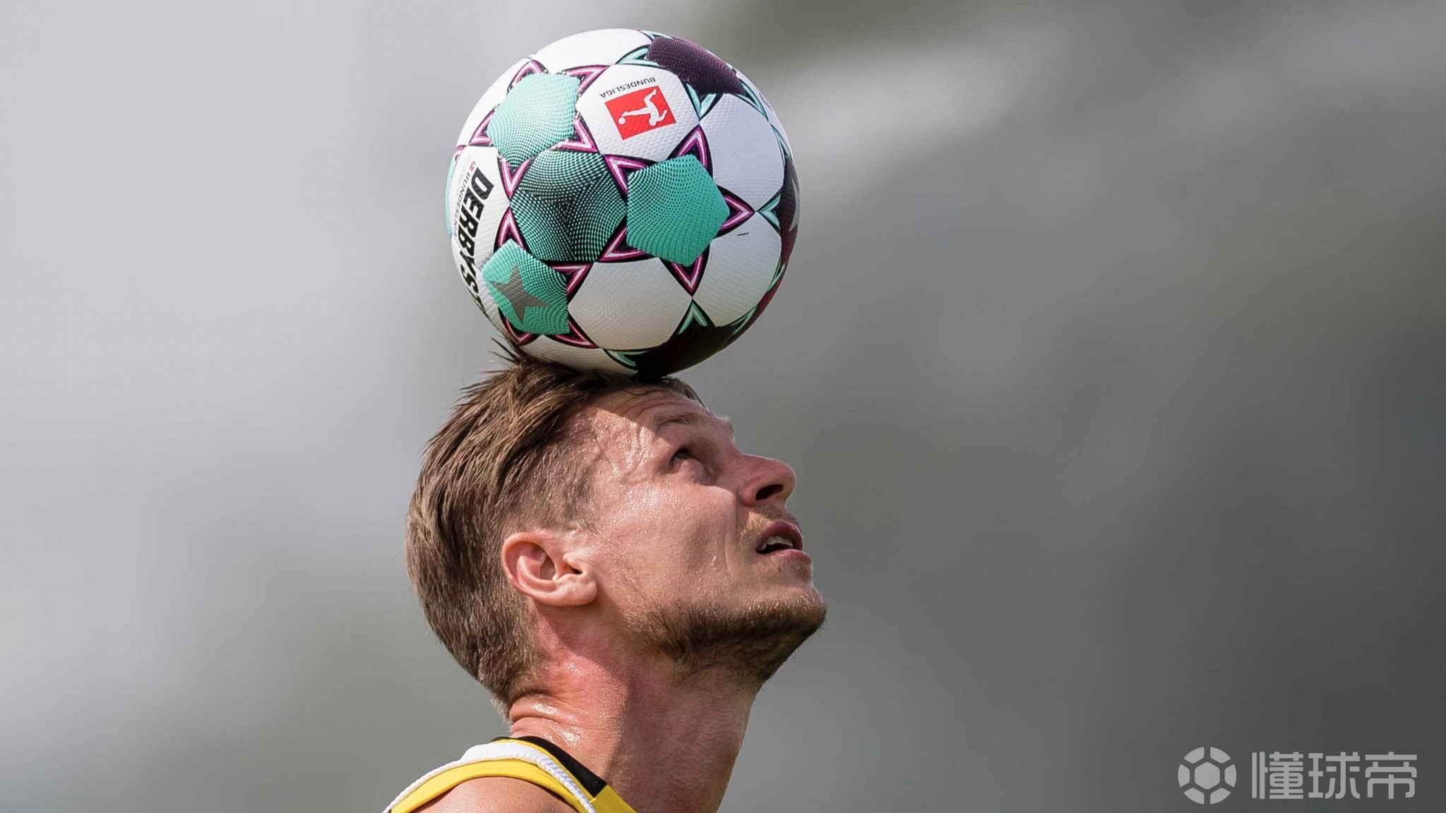 爱游戏体育-包含赛前萨克拉门托国王调整名单以备德国杯,伤情更新环节打磨,管理层满意,训练强度明显提升的词条